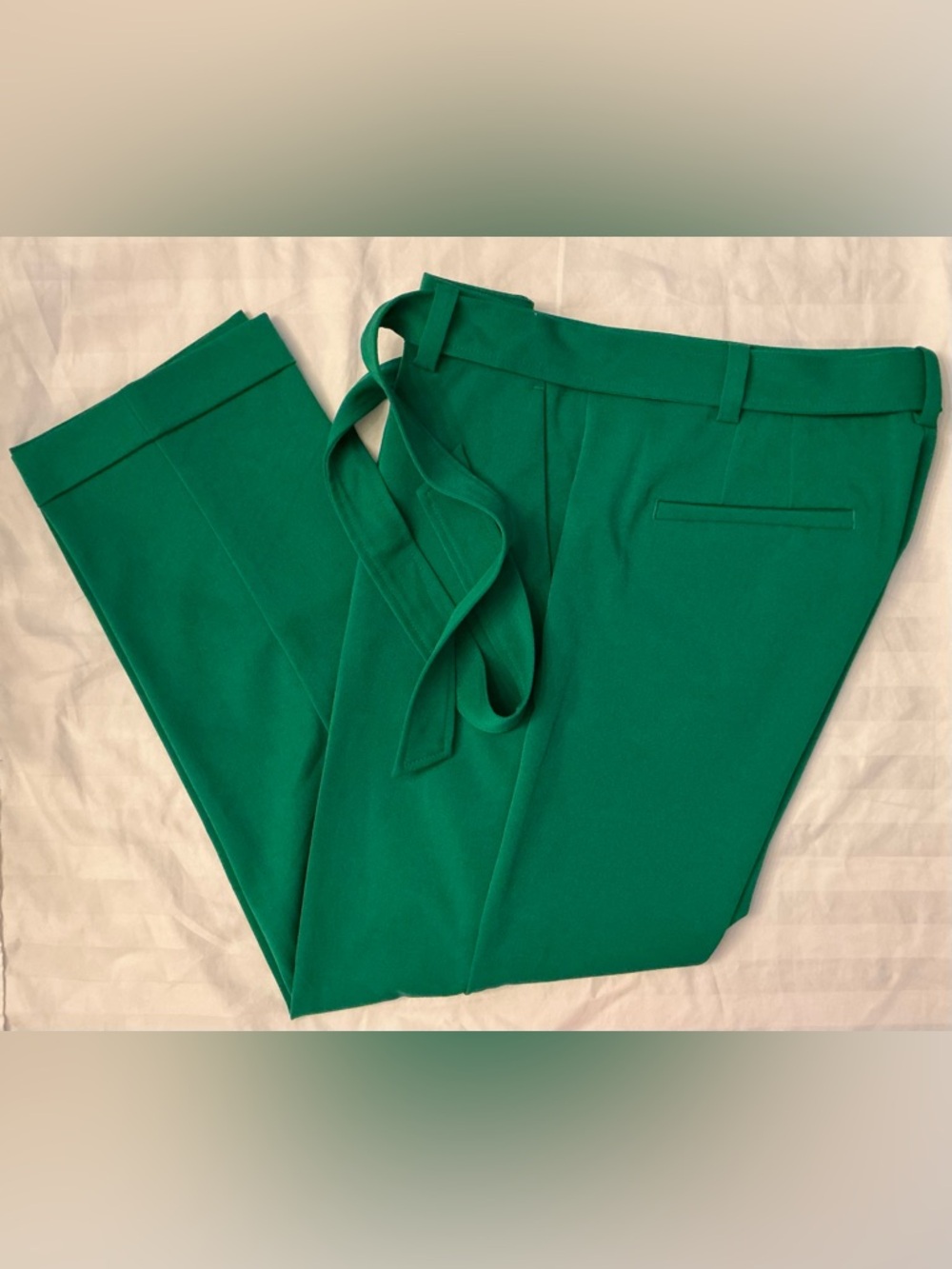 LOFT Women’s Curvy  Kelly Green Tie-Waist Trousers